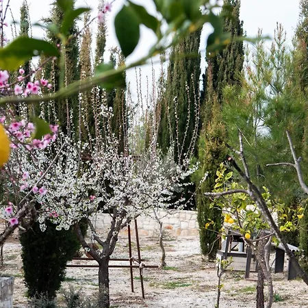 Ayia Marina Kathikas