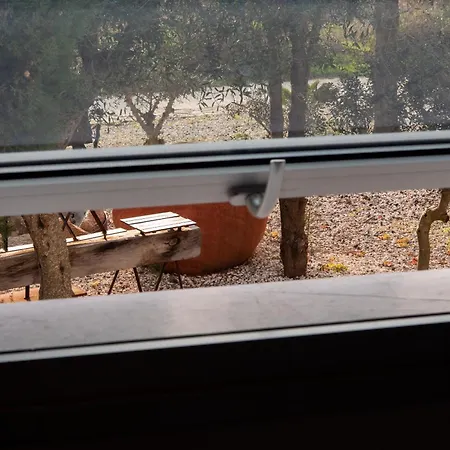 Villa Ayia Marina Kathikas